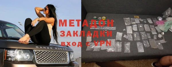 шишки Гусиноозёрск