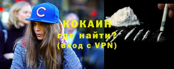 шишки Гусиноозёрск