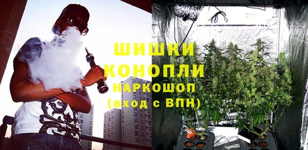 mix Гусев