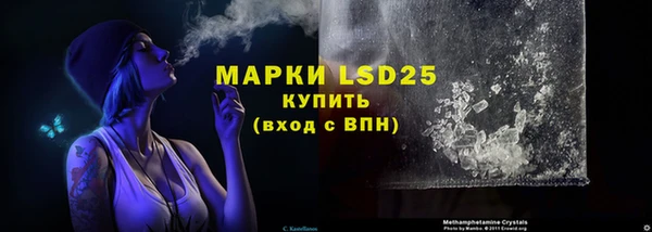 PSILOCYBIN Щигры