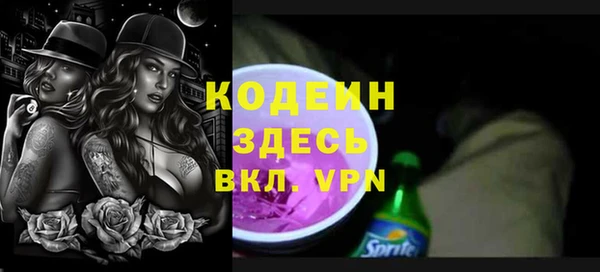шишки Гусиноозёрск