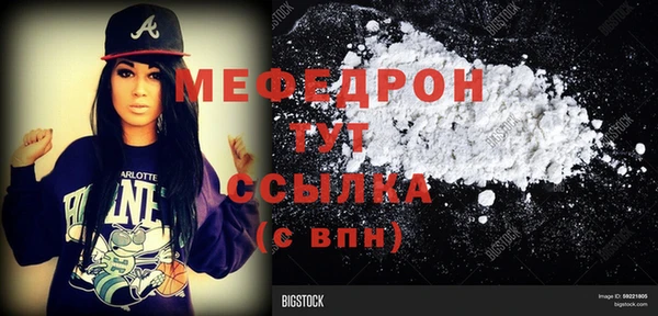 шишки Гусиноозёрск
