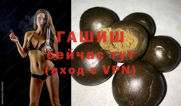 шишки Гусиноозёрск