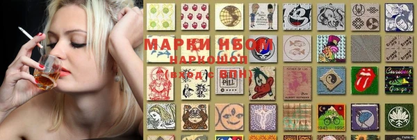PSILOCYBIN Щигры
