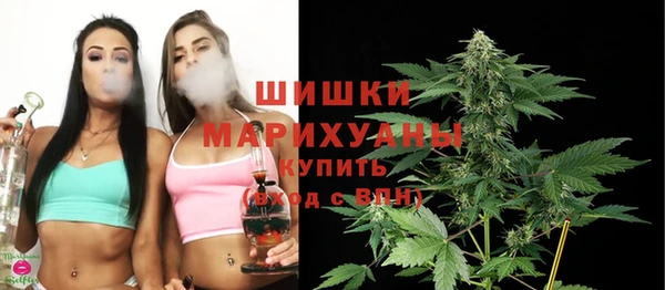твердый Щучье